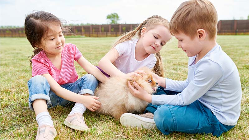 Kids Playing With Cute Puppy