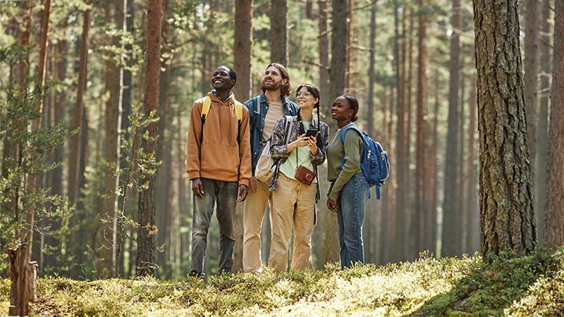 Young People Standing In The Forest
